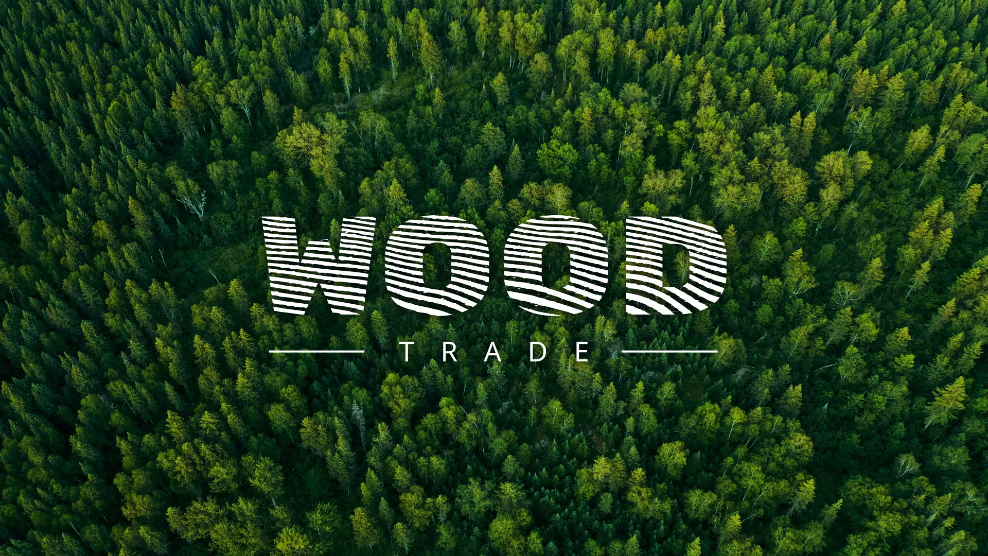 Разработка интернет-магазина компании «Wood Trade» в Карабаново