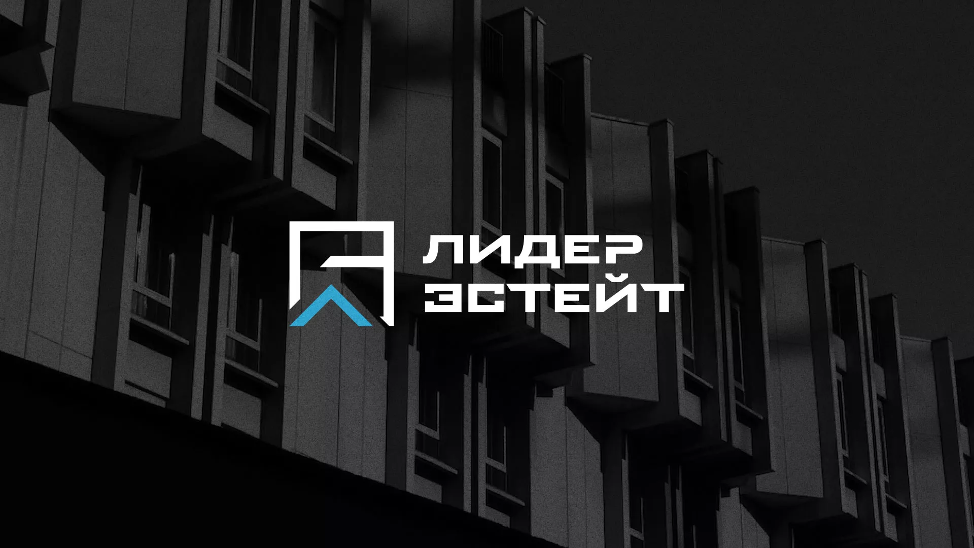 Разработка логотипа агентства недвижимости «Лидер Эстейт» в Карабаново